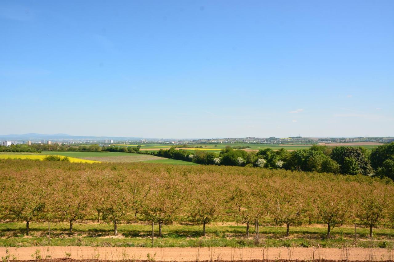 Weingut Bugner Meizelhof Klein-Winternheim Exteriör bild
